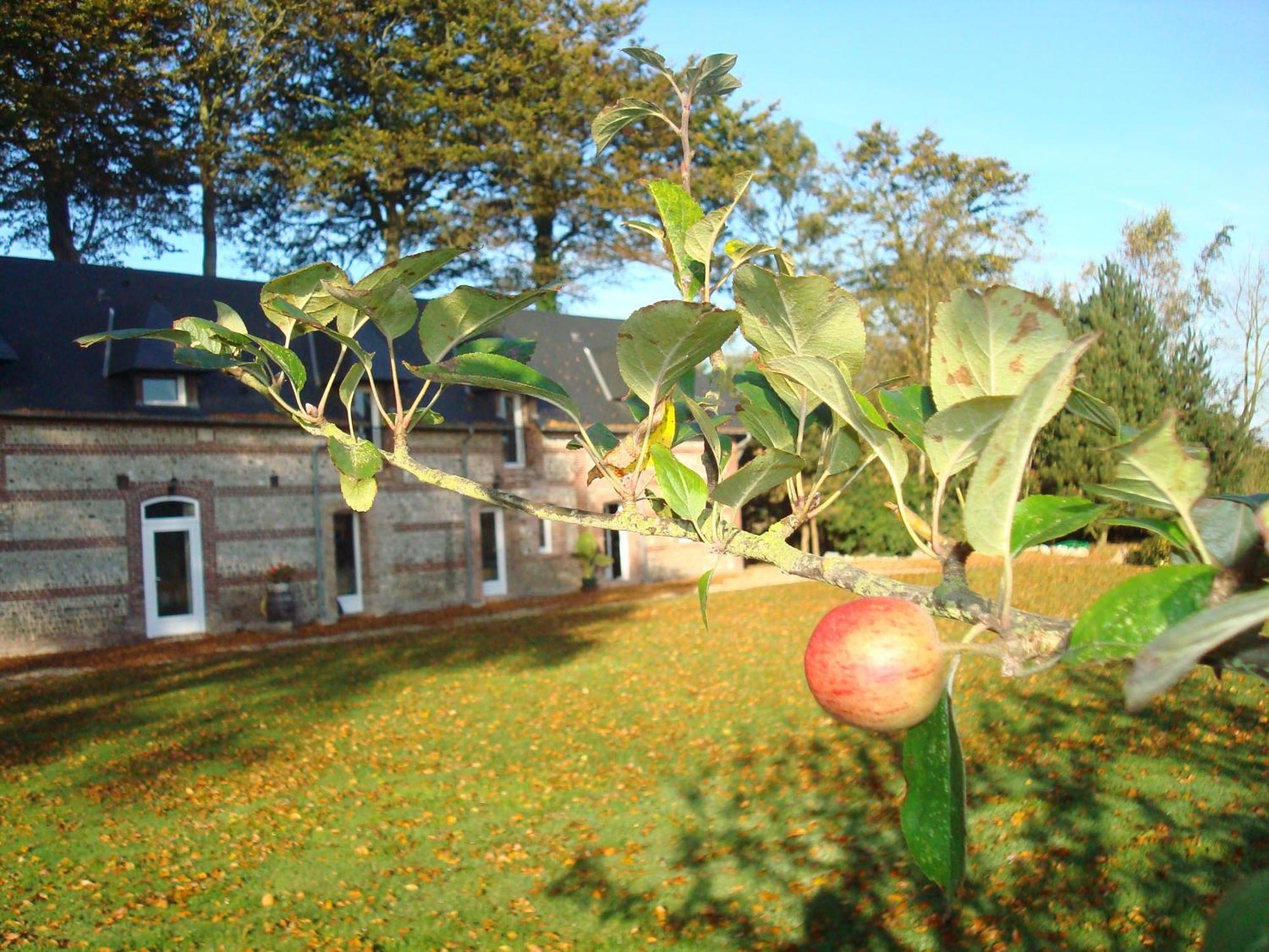 Maison De Vacances Clos Des Hogues Entre Etretat Et Fecamp 圣莱奥纳尔 外观 照片