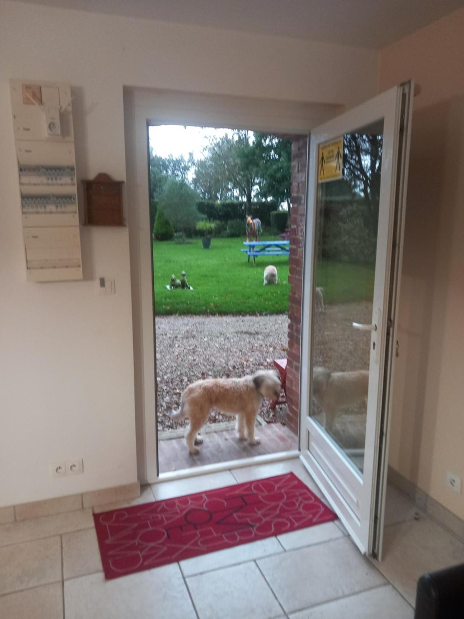 Maison De Vacances Clos Des Hogues Entre Etretat Et Fecamp 圣莱奥纳尔 外观 照片