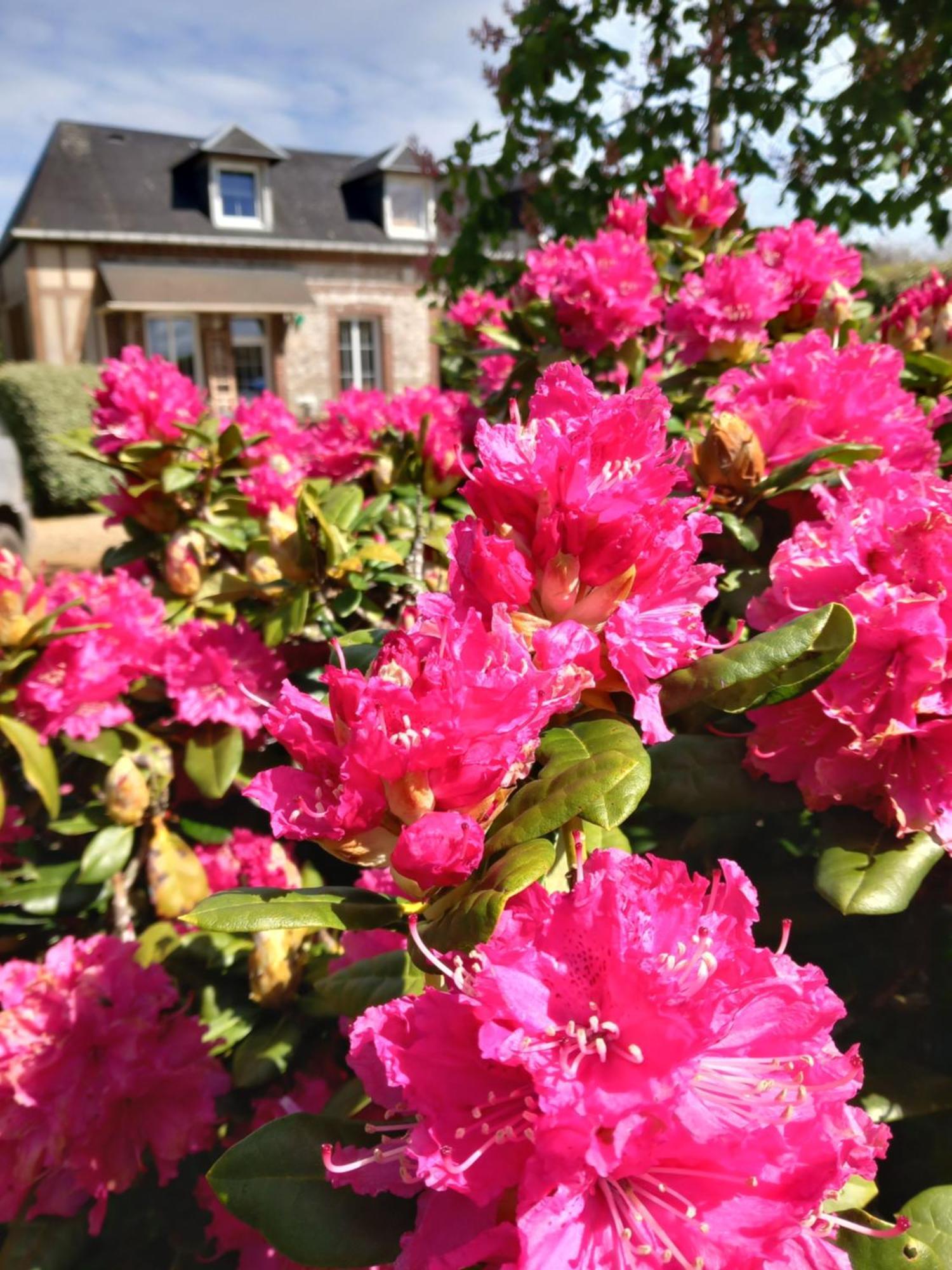 Maison De Vacances Clos Des Hogues Entre Etretat Et Fecamp 圣莱奥纳尔 外观 照片